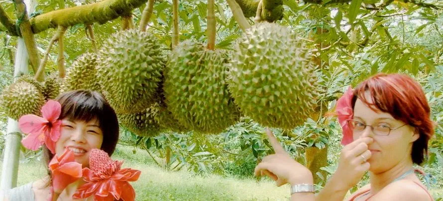 Just-Jungle-safari-mr.-ung's