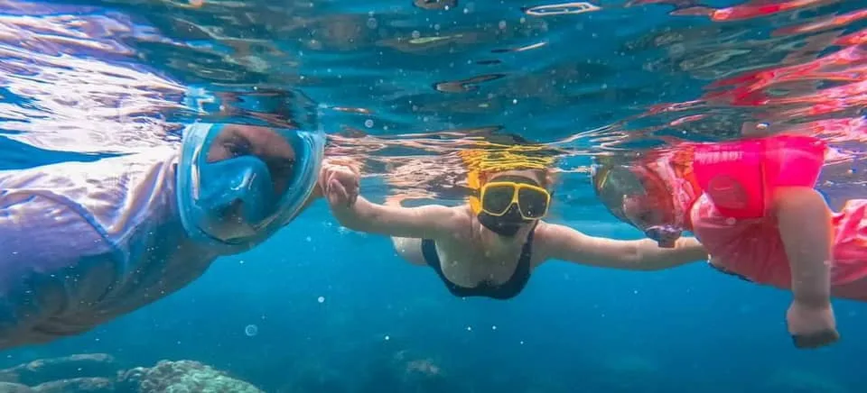 angtong -Golden-Moon H 4