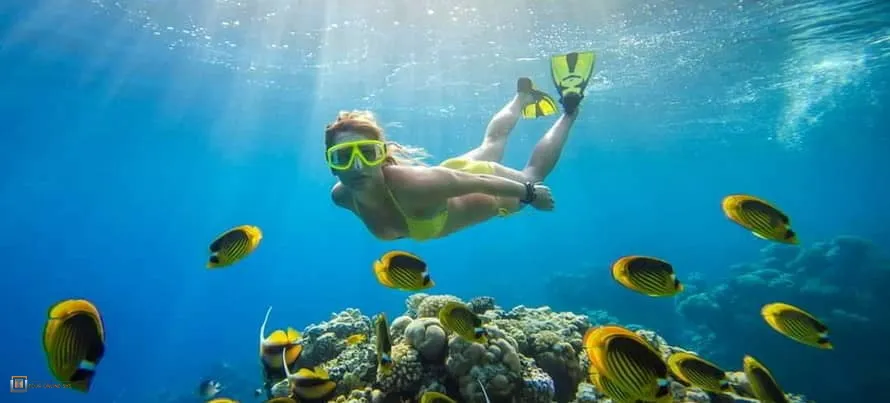 Koh-Nang-Yuan-Goldenmoon-1