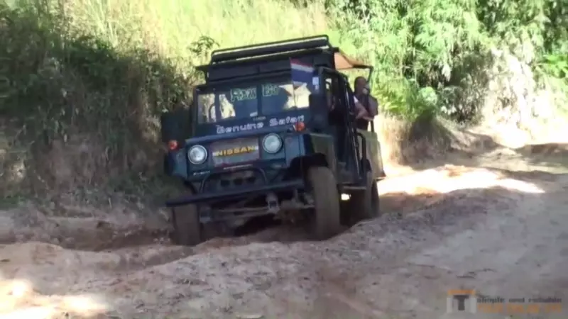 just-jungle-eco-safari-by-4x4-military-jeep-mr-ungs