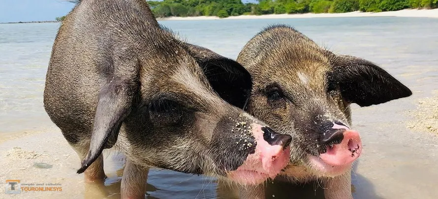 Koh-Madsum-Angthong-Sea-H3