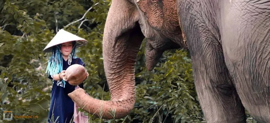 Samui-Elephant-Home-touronlinesys-H-2