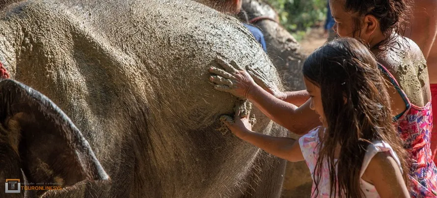 Samui-Elephant-Spa-Touronlinesys-H4