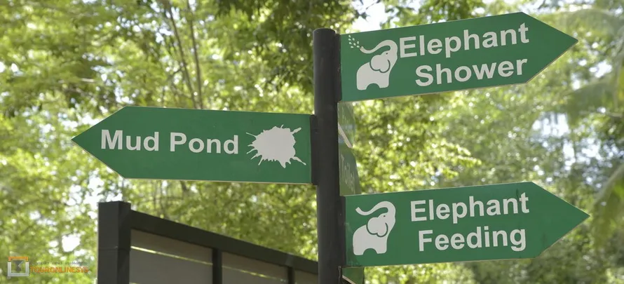 Samui-Elephant-Spa-Touronlinesys-H5