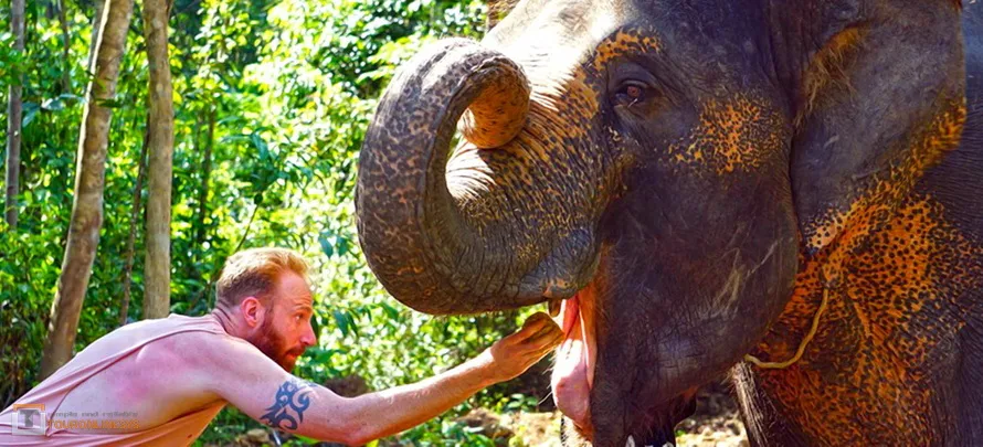 Samui-Elephant-Spa-Touronlinesys-H6