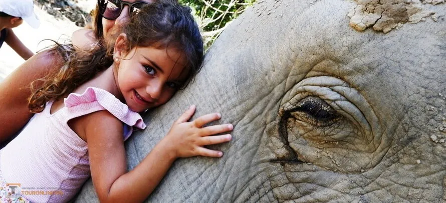 Samui-Elephant-Jungle-sanctaury-H- 2