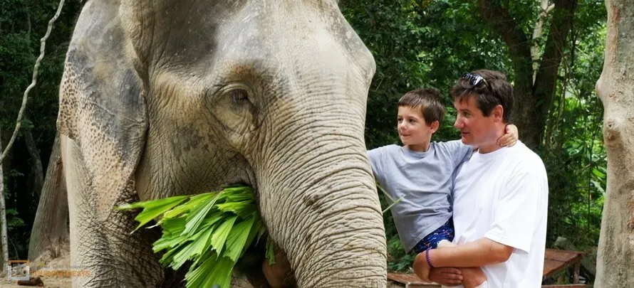 Samui-Elephant-Jungle-sanctaury-H- 3