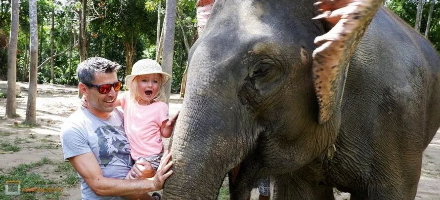 Samui-Elephant-Jungle-sanctaury-H- 5