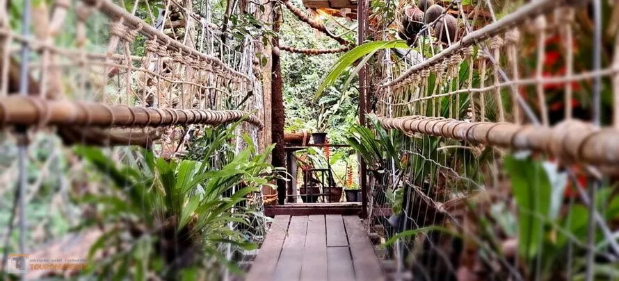 Tree-Bridge-Zipline-h-4