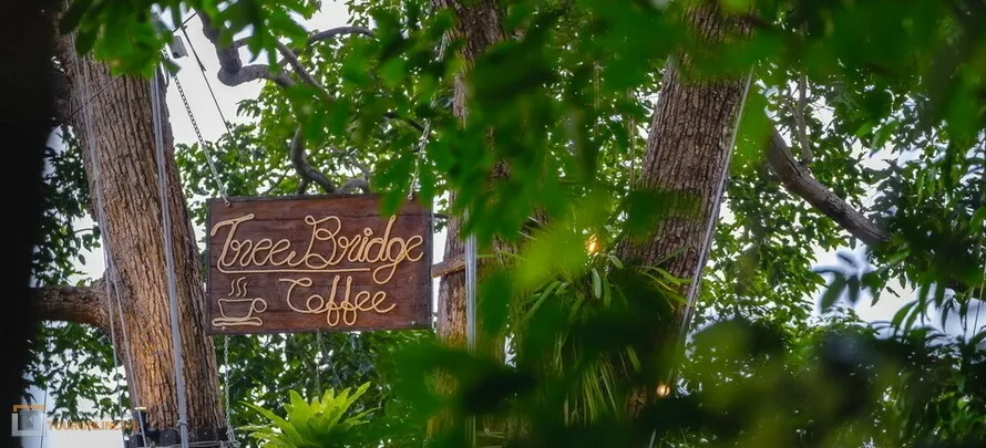 Tree-Bridge-Zipline-h-5