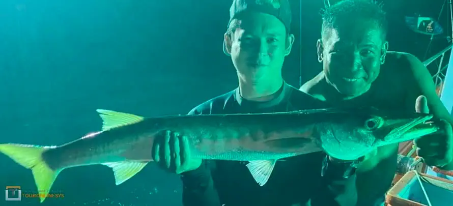 Night Fishing H Mr. TU 4