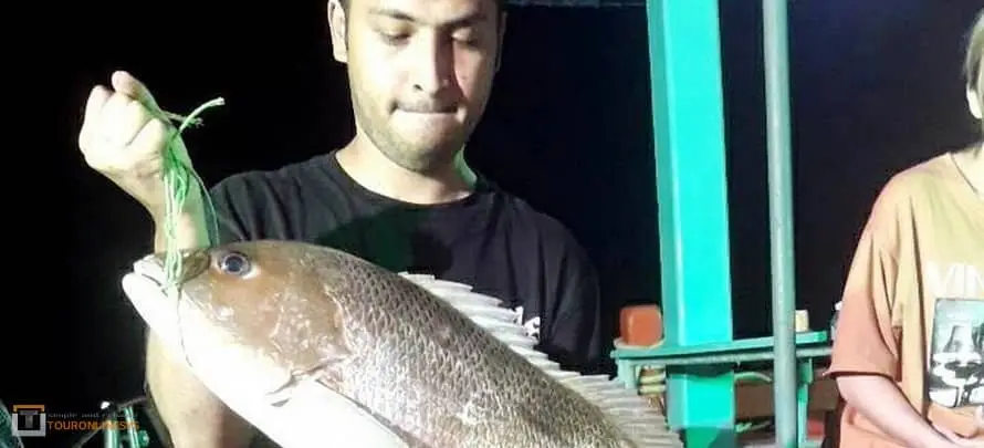 Night Fishing H Mr. TU 5