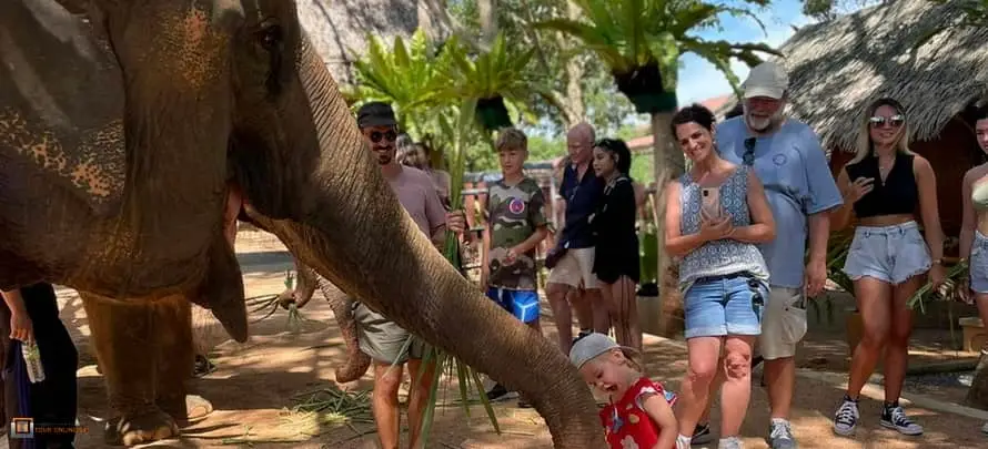 Feeding-Me-Tour-Online-SYS-H-1