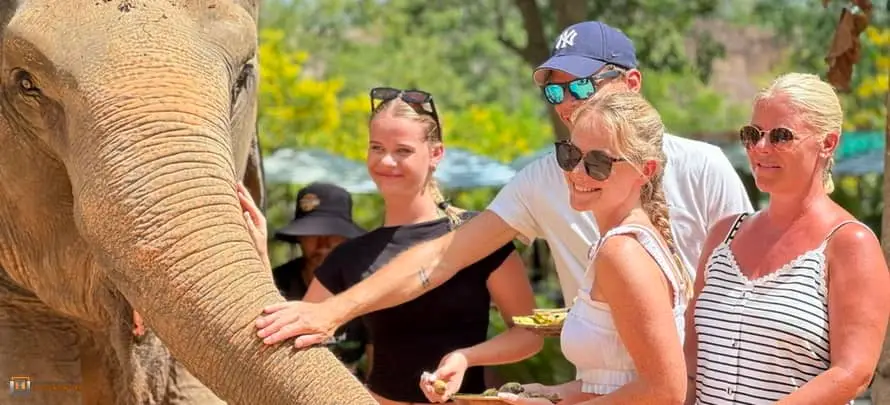 Feeding-Me-Tour-Online-SYS-H-3