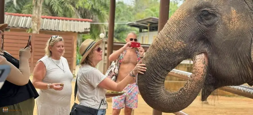 Feeding-Me-Tour-Online-SYS-H-4