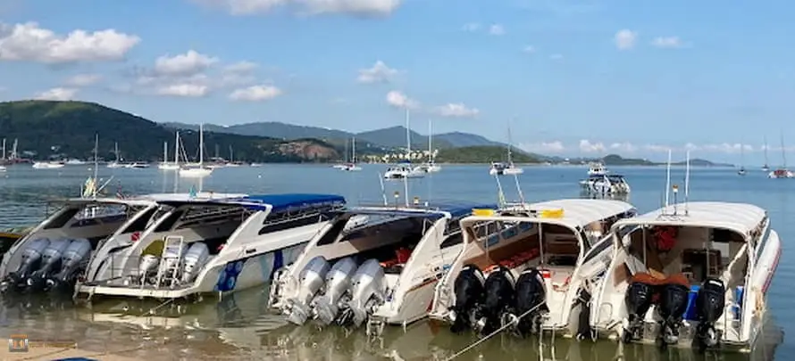 Full-Moon-Golden-Moon-H4