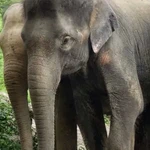 Khan-Samui Khan-Samui