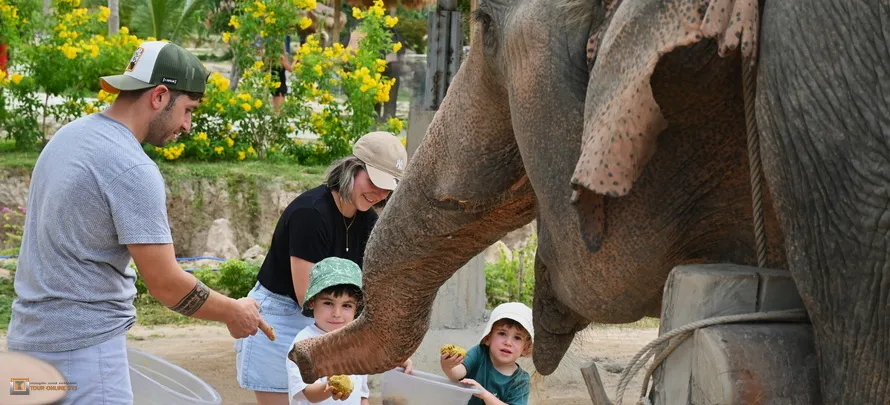 Samui-Jungle-Sanctuary-H-1