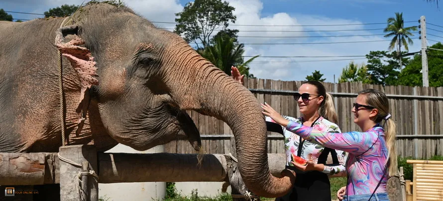 Samui-Jungle-Sanctuary-H-3