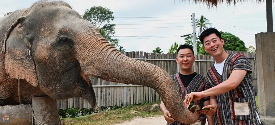 Samui-Jungle-Sanctuary-H-4