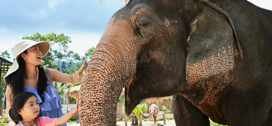 Samui-Jungle-Sanctuary-H-5