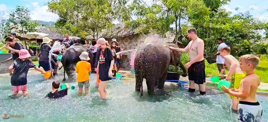 Samui-Elephant-World-H-1