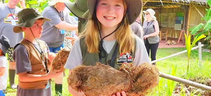 Samui-Elephant-World-H-2