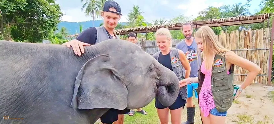 Samui-Elephant-World-H-3