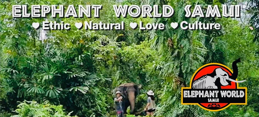 Samui-Elephant-World-