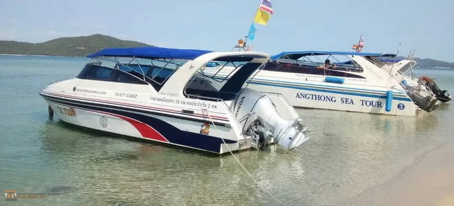 Pig Island Private Speedboat 4