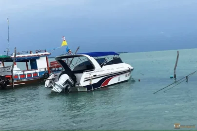 Pig Island Private Speedboat 8