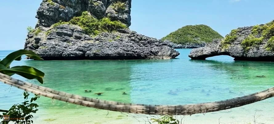 Angtong Tour_ Samui tourina H 5