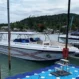 Private speedboat 1 engine 5