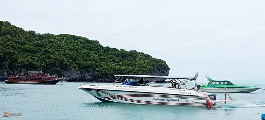 Speedboat-2-Engine-H-4